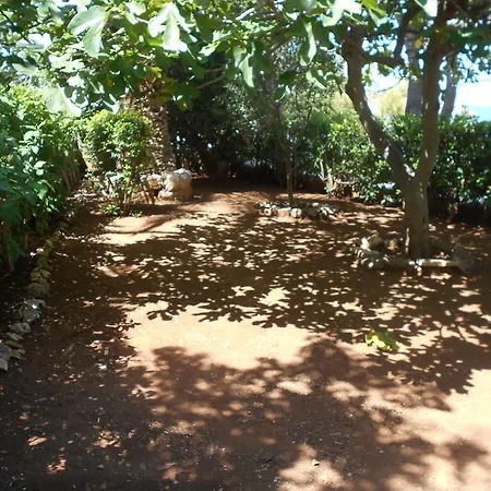 Nikoletta *